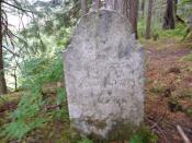 Jennie Johnson, died 1920, age 95!