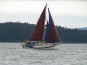Douglas Island Backslider